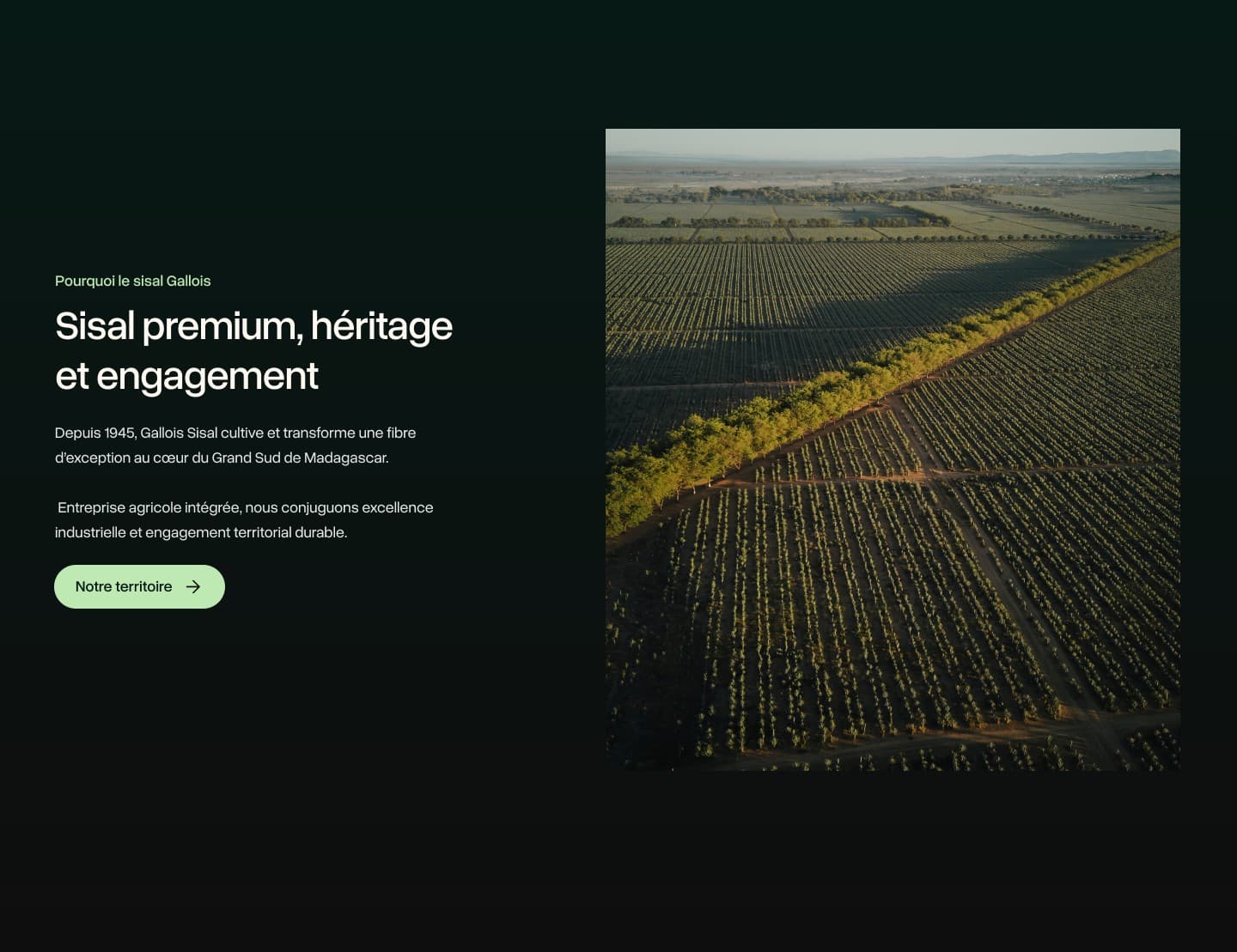 Story block of the home page: the label “Pourquoi le sisal Gallois”, the title “Sisal premium, héritage et engagement”, two short paragraphs since 1945 and a “Notre territoire” button next to an aerial photograph of the plantation.